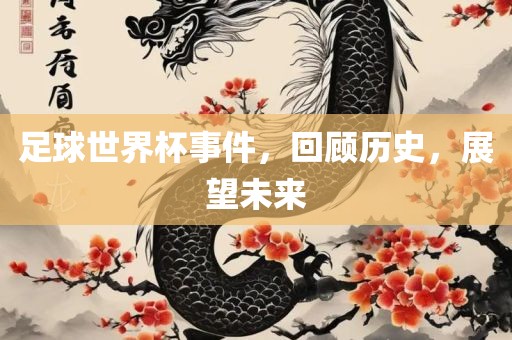 足球世界杯事件，回顾历史，展望未来