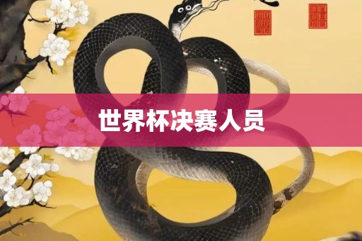 漯河市盈旭机械设备有限公司世界杯决赛人员