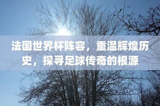 法国世界杯阵容，重温辉煌历史，探寻足球传奇的根源