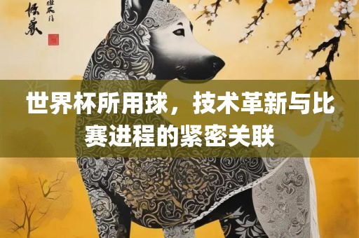 世漯河市盈旭机械设备有限公司界杯所用球，技术革新与比赛进程的紧密关联