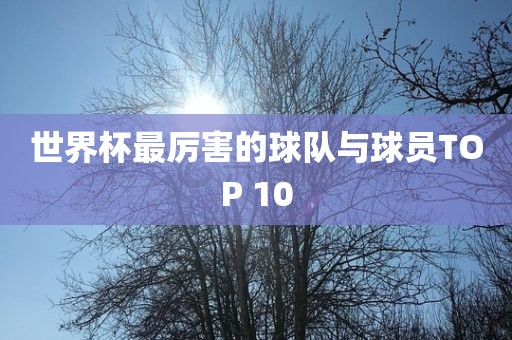 世界杯最厉害漯河市盈旭机械设备有限公司的球队与球员TOP 10