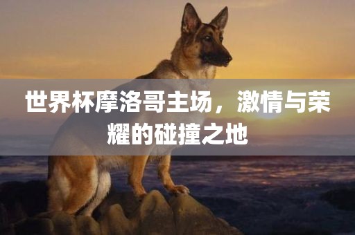世界杯摩洛哥主场，激情与荣耀的碰撞之地