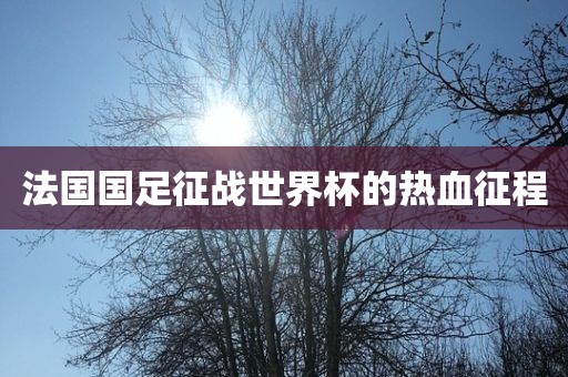 法国国足征战世界杯的热血征程