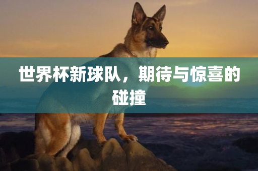 世界杯新球队，期待与惊喜的碰撞