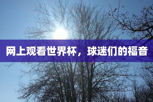 网上观看世界杯，球迷们的福音