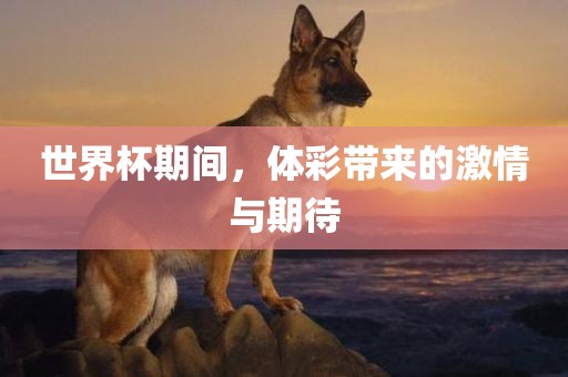 世界杯期间，体彩带来的激情与期待
