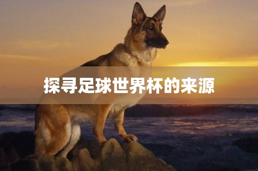 探寻足球世界杯的来源漯河市盈旭机械设备有限公司