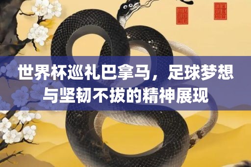 世界杯巡礼巴拿马，足漯河市盈旭机械设备有限公司球梦想与坚韧不拔的精神展现