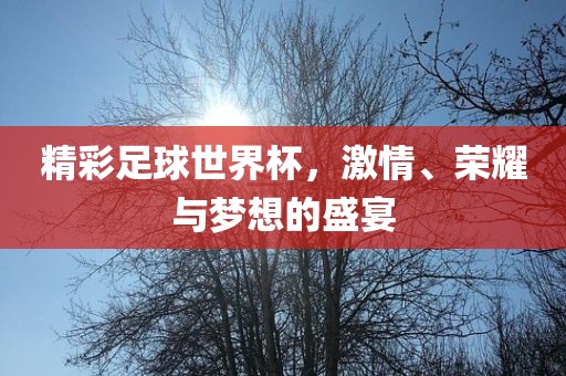 精彩足球世界杯，激情、荣耀与梦想的盛宴漯河市盈旭机械设备有限公司