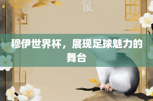 足球魅力 第2页