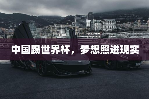 中国踢世界杯，梦想照进现实