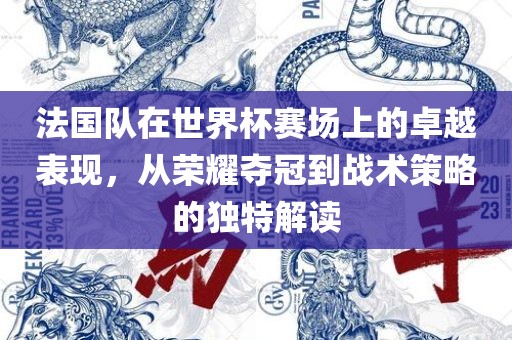 法国队在世界杯赛场上的卓越表现，从荣耀夺冠到战术策略的独特解读