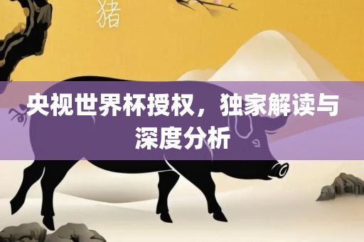 央视世界杯授权，独家解读与深度分析漯河市盈旭机械设备有限公司