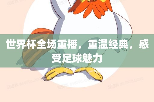 世界杯全场重播，重温经典，感受足球魅力
