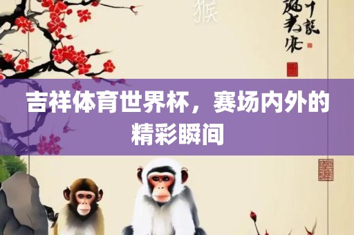 吉祥体育世界杯，赛场内外的精彩瞬间