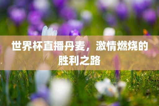 世界杯直播丹麦，激情燃烧的胜利之路