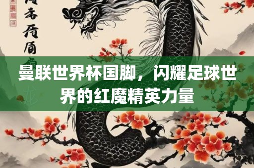 曼联世界杯国脚，闪耀足球世界的红魔精英力量漯河市盈旭机械设备有限公司