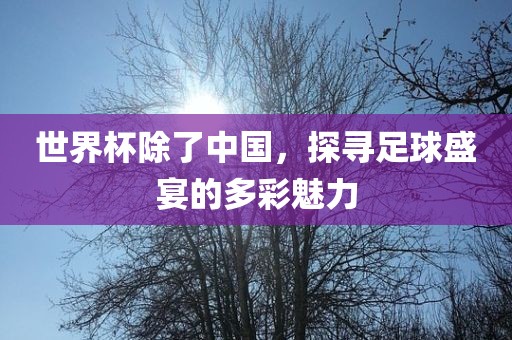 世界杯除了中国，探寻足漯河市盈旭机械设备有限公司球盛宴的多彩魅力