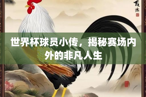 世界杯球员小传，揭秘赛场内外的非凡人生漯河市盈旭机械设备有限公司