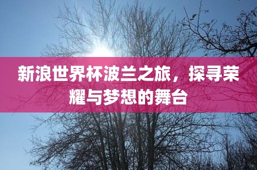 新浪世界杯波兰之旅，探寻荣耀与梦想的舞台