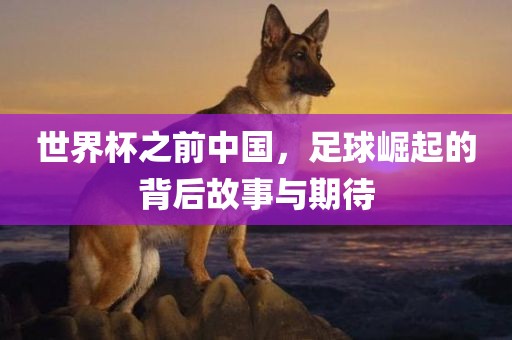 世界杯之前中国，足球崛起的背后故事与期待