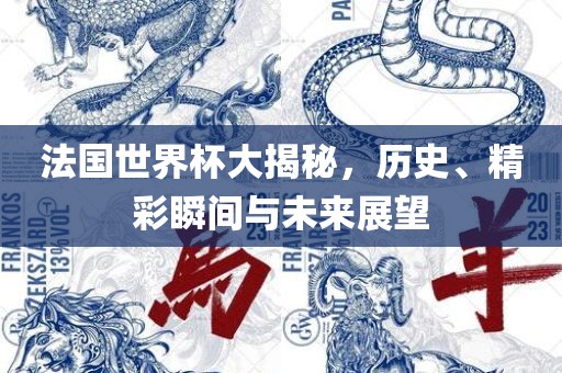 法国世界杯大揭秘，历史、精彩瞬间与未来展望