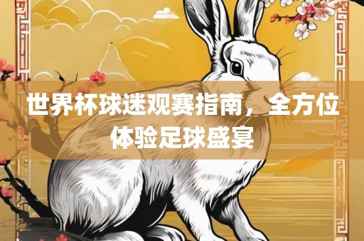 世界杯球迷观赛指南，全方位体验足球盛宴