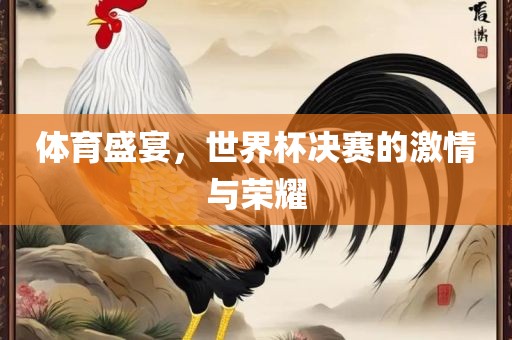 体育盛宴，世界杯决赛的激情与荣耀