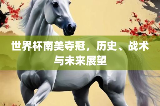 世界杯南美夺冠，历史、战术与未来展望