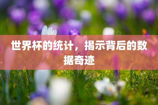 世界杯的统计，揭示背后的数据奇迹漯河市盈旭机械设备有限公司