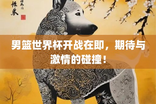 男篮世界杯开战在即，期待与激情的碰撞！