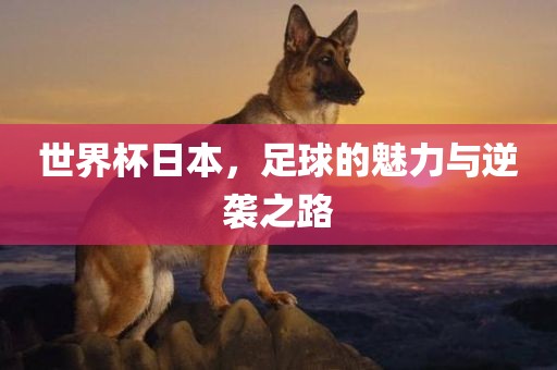 世界杯日本，足球的魅力与逆袭之路漯河市盈旭机械设备有限公司