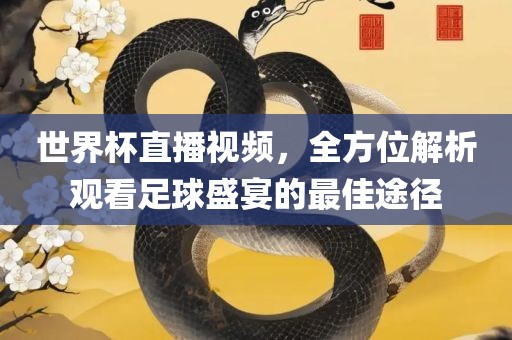 世界杯直播视频，全方位解析观看足球盛宴的最佳途径
