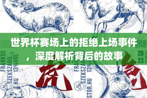 世界杯赛场上的拒绝上场事件，深度解析背后的故事
