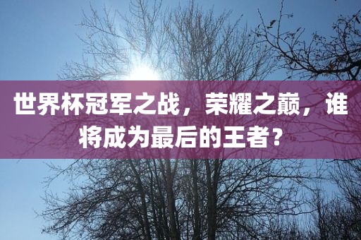 世界杯冠军之战，荣耀之巅，谁将成为最后的王者？