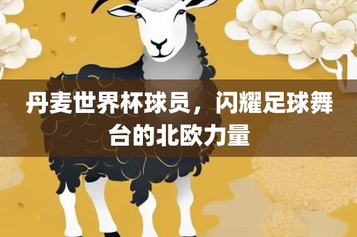 丹麦世漯河市盈旭机械设备有限公司界杯球员，闪耀足球舞台的北欧力量