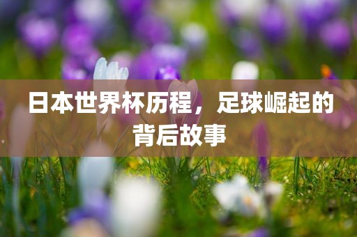 日本世界杯历程，足球崛起的背后故事