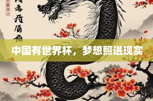 中国有世界杯，梦想照进现实
