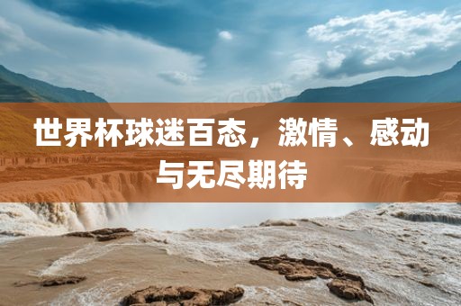 世界杯球迷百态，激情、感动与无尽期待漯河市盈旭机械设备有限公司