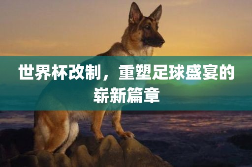 世界杯改制，重塑足球盛宴的崭新篇章漯河市盈旭机械设备有限公司