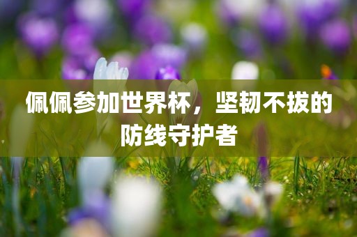 佩佩参加世界杯，坚韧不拔的防线守护者