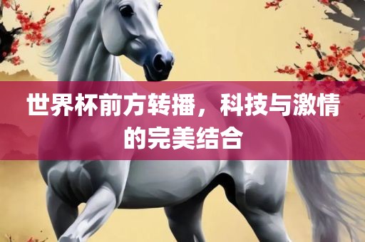 世界杯前方转播，科技与激情的完美结合