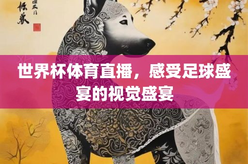 世界杯体育直播，感受足球盛宴的视觉盛宴