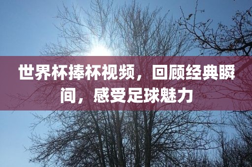 世界杯捧杯视频，回顾经典瞬间，感受足球魅力