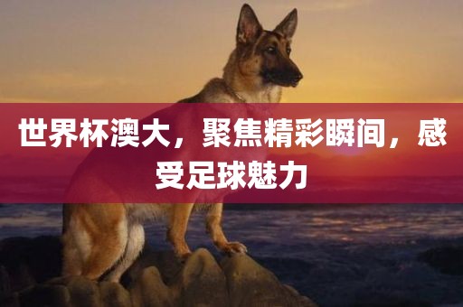 世界杯澳大，聚焦精彩瞬间，感受足球魅力