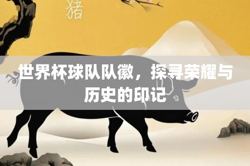 世界杯球队队徽，探寻荣耀与历史的印记漯河市盈旭机械设备有限公司