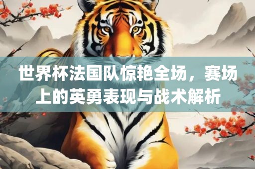 世界杯法国队惊艳全场，赛场上的英勇表现与战术解析漯河市盈旭机械设备有限公司