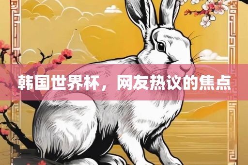 韩国世界杯，网友热议的焦点