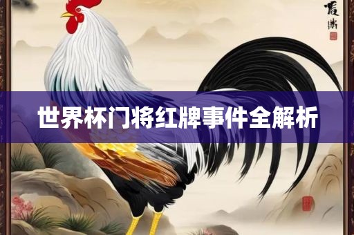 世界杯门将红牌事件全解析