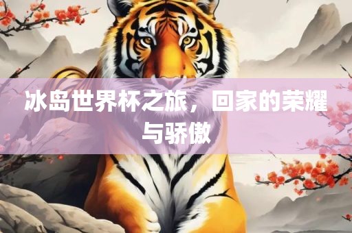 冰岛世界杯之旅，回家的荣耀与骄傲